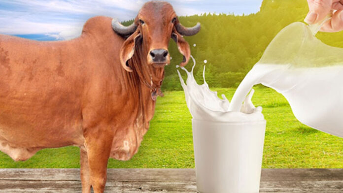 Milk yield and microbiome