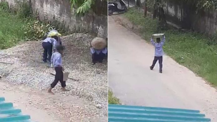 Principal suspended for employing child labour in school