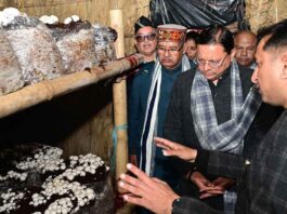 मुख्यमंत्री धामी ने किया विकसित ‘मशरूम ग्राम’ परियोजना का शुभारंभ CM Dhami launched 'Mushroom Village' project