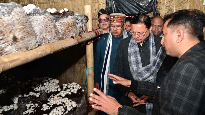 CM Dhami launched 'Mushroom Village' project