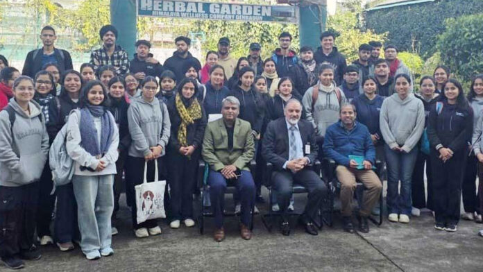 It is essential to provide protection to rare plants