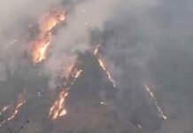 थराली के जंगलों में लगी भीषण आग A massive fire broke out in forests of Tharali