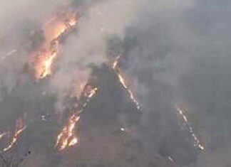 थराली के जंगलों में लगी भीषण आग A massive fire broke out in forests of Tharali