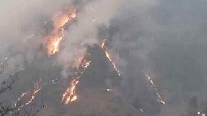 A massive fire broke out in forests of Tharali