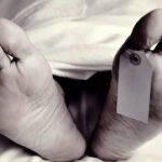 घास लेने गई महिला पर पत्थर गिरने से मौत Woman dies after being struck by a stone