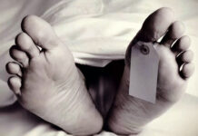 घास लेने गई महिला पर पत्थर गिरने से मौत Woman dies after being struck by a stone