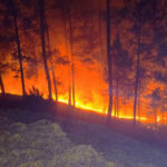 बढ़ती गर्मी के साथ विकराल रूप धारण करने लगी जंगलों की आग The forest fires have begun to take on a ferocious form