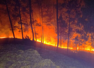 बढ़ती गर्मी के साथ विकराल रूप धारण करने लगी जंगलों की आग The forest fires have begun to take on a ferocious form