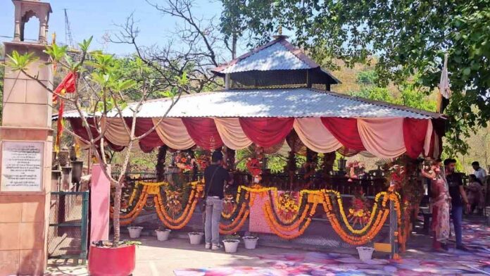 Minister Khajan Das's Son's Wedding Ceremony