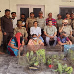 तोतों के साथ दो पुरुष दो महिला गिरफ्तार Two Men and Two Women Arrested with Parrots