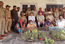 तोतों के साथ दो पुरुष दो महिला गिरफ्तार Two Men and Two Women Arrested with Parrots