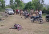 जंगली हाथी ने दो लोगों को कुचलकर उतारा मौत के घाट Wild Elephant Tramples Two People to Death