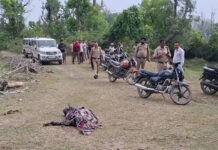 जंगली हाथी ने दो लोगों को कुचलकर उतारा मौत के घाट Wild Elephant Tramples Two People to Death