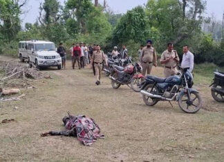 जंगली हाथी ने दो लोगों को कुचलकर उतारा मौत के घाट Wild Elephant Tramples Two People to Death