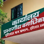 बाघ शिकार मामले में रेंजर, फॉरेस्टर व फॉरेस्ट गार्ड पर गिरी गाज, निलंबित Ranger and Forest Guard Face Axe in Tiger Poaching Case