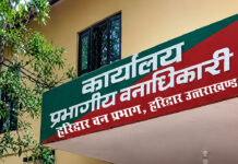 बाघ शिकार मामले में रेंजर, फॉरेस्टर व फॉरेस्ट गार्ड पर गिरी गाज, निलंबित Ranger and Forest Guard Face Axe in Tiger Poaching Case