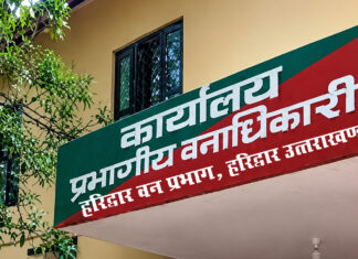 बाघ शिकार मामले में रेंजर, फॉरेस्टर व फॉरेस्ट गार्ड पर गिरी गाज, निलंबित Ranger and Forest Guard Face Axe in Tiger Poaching Case