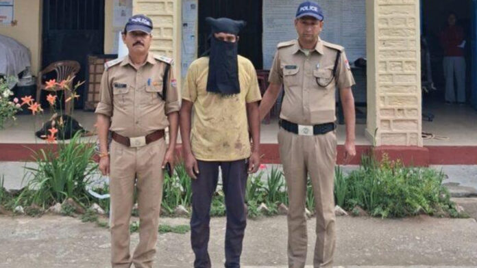 Surrendered After Murdering Wife with an Axe
