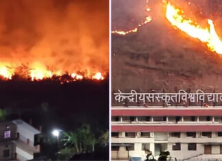 केंद्रीय संस्कृत विश्वविद्यालय परिसर तक पहुंची जंगल की आग Forest fire reaches Central Sanskrit University campus