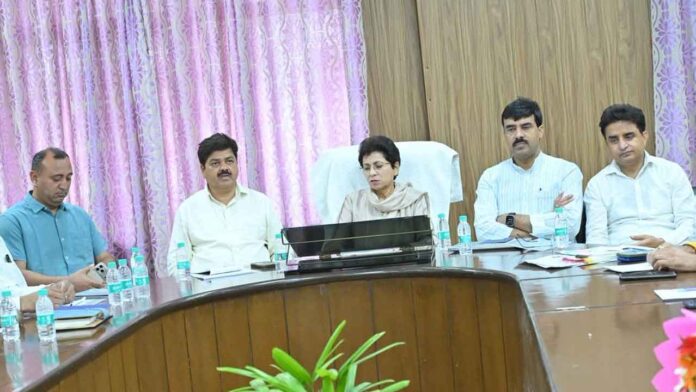Kumari-Selja Congress will triumph in the state in 2027