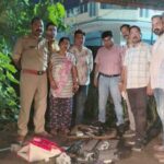 कार से हथियारों व कारतूसों का जखीरा बरामद, पति-पत्नी व देवर के खिलाफ मामला दर्ज Cache of weapons and cartridges seized from car