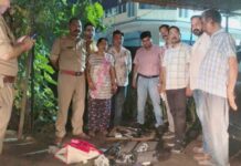 कार से हथियारों व कारतूसों का जखीरा बरामद, पति-पत्नी व देवर के खिलाफ मामला दर्ज Cache of weapons and cartridges seized from car