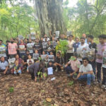 भनियावाला और ऋषिकेश मार्ग पर अब नहीं कटेंगे 3000 पेड़ 3000 trees will no longer be cut down
