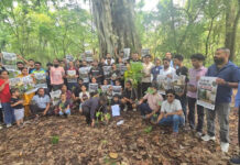भनियावाला और ऋषिकेश मार्ग पर अब नहीं कटेंगे 3000 पेड़ 3000 trees will no longer be cut down