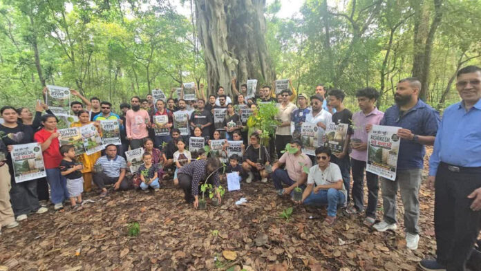 Tree-Cuting 3000 trees will no longer be cut down