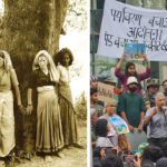 चिपको की धरती पर हरे पेड़ों के कटान का विरोध Protest against felling of green trees on land of Chipko