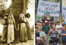 चिपको की धरती पर हरे पेड़ों के कटान का विरोध Protest against felling of green trees on land of Chipko