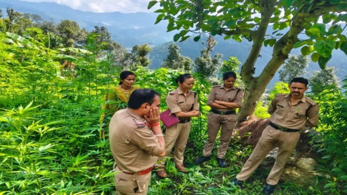 Work pressure on SIR in the BLO suicide case