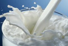 दूध की हर बूंद के पीछे छिपा दर्द Pain hidden behind every drop of milk