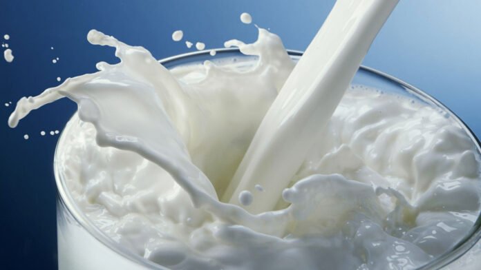 Pain hidden behind every drop of milk